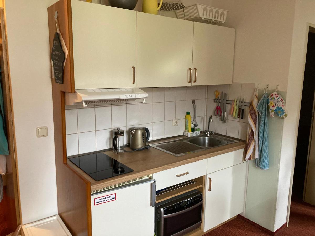 Apartmán Viki Apartman Philippsreut Kültér fotó