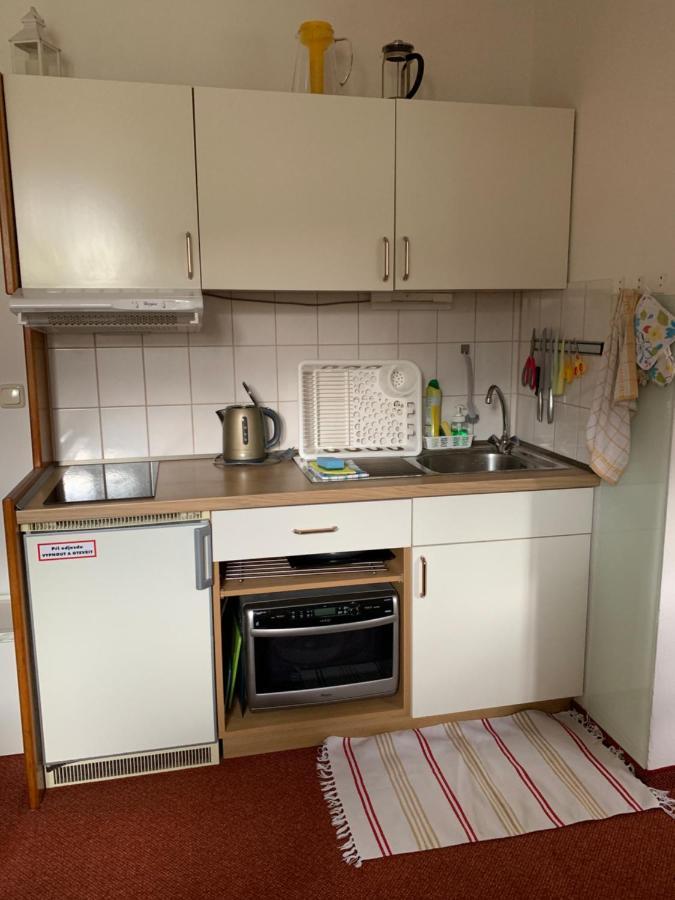 Apartmán Viki Apartman Philippsreut Kültér fotó