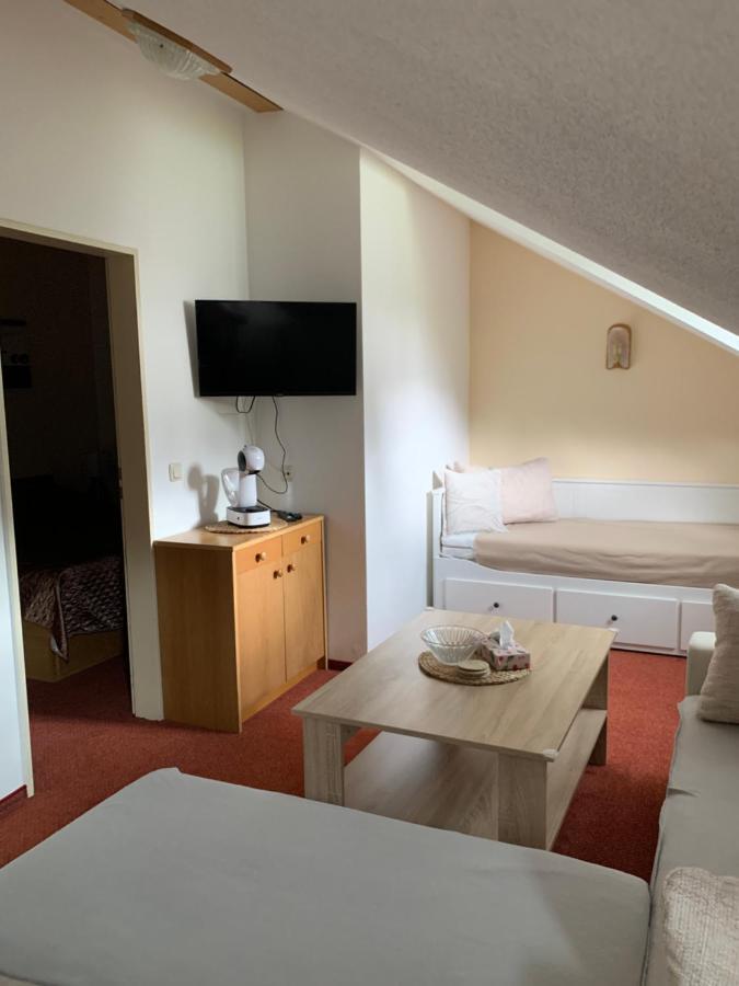 Apartmán Viki Apartman Philippsreut Kültér fotó