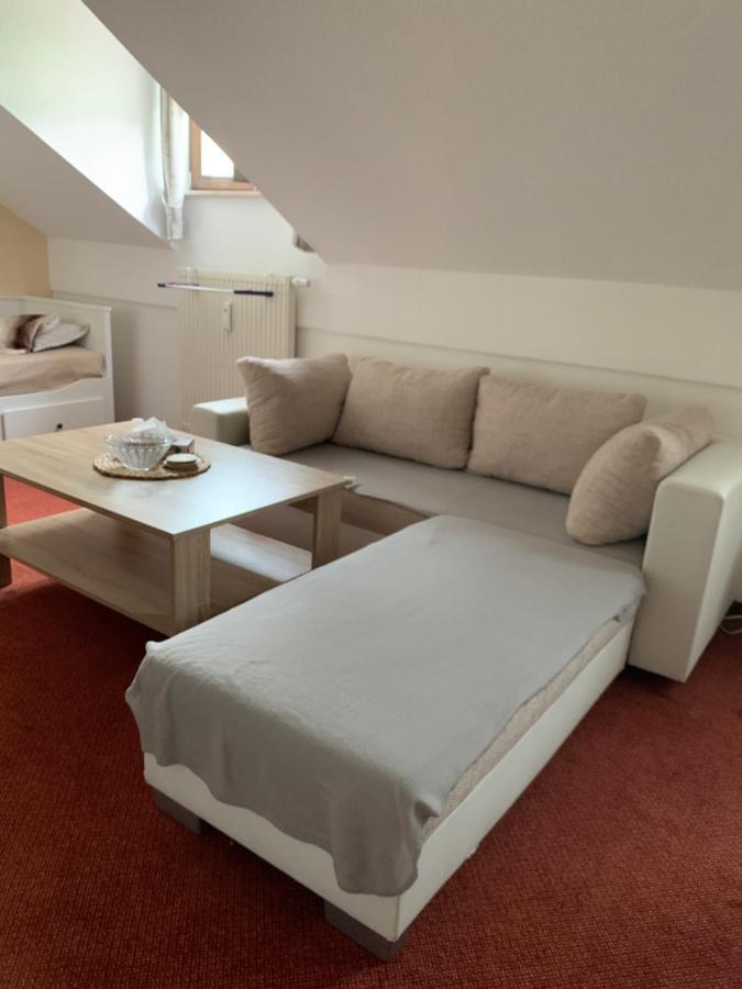 Apartmán Viki Apartman Philippsreut Kültér fotó