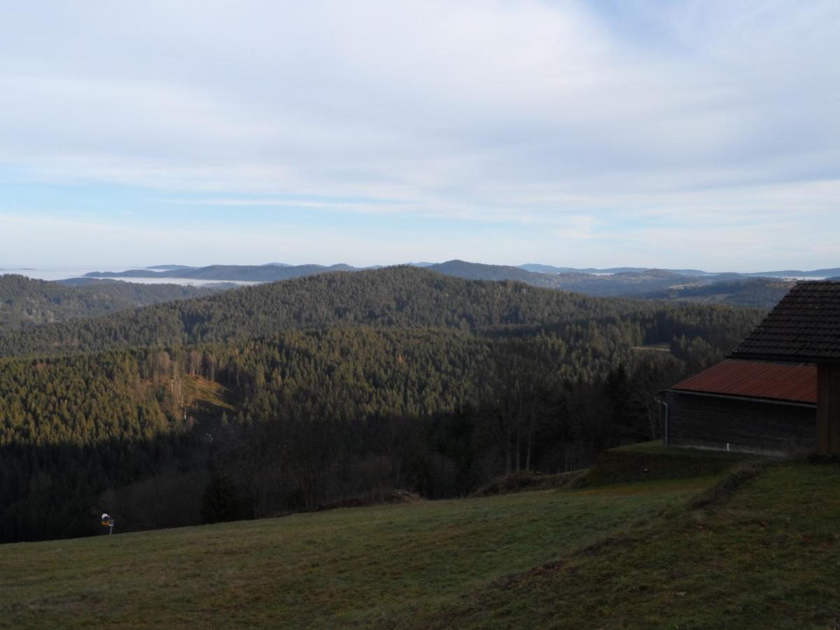 Apartmán Viki Apartman Philippsreut Kültér fotó